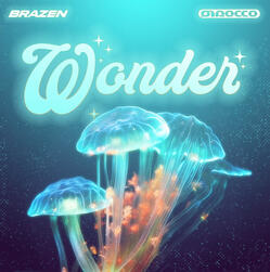 Wonder A five-minute audio experience designed to transport you far away from the chaos of life. With each weekly episode, you’ll discover a new element of the natural world, from extraordinary creatures to otherworldly places and phenomena.